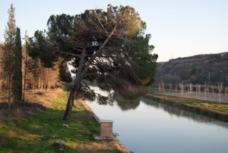 Camino natural del Ebro: GR-99