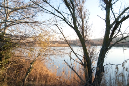 Camino natural del Ebro: GR-99